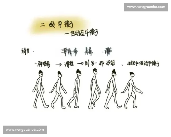 以前腰为中心的全身力量平衡与核心稳定训练创新思路探索与实践