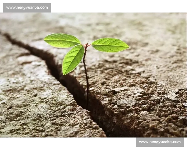 绝地反击:逆境中的智慧与力量,打破困局重塑未来 绝地反击:逆境中的智慧与力量,打破困局重塑未来